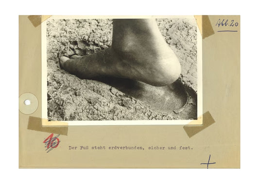 Birkenstock 1947 tile