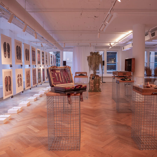 250 Event Blog Image