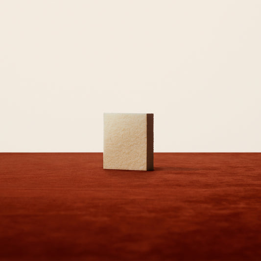 Birkenstock Footbed and Shoe Dry Cleaner