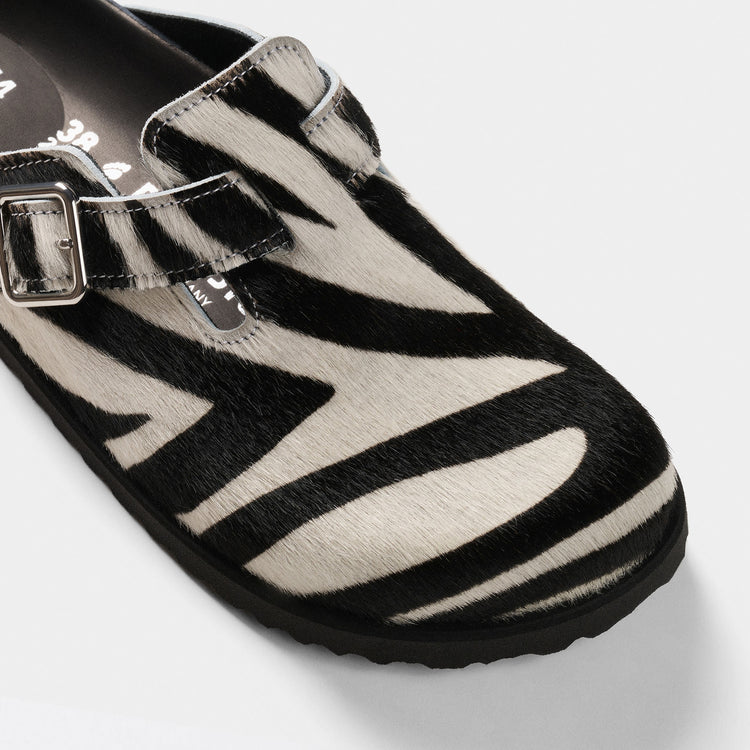 Boston 1774 Exquisite Zebra Pony Like Fur