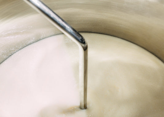 Birkenstock Australia Care Essentials mixer mood image