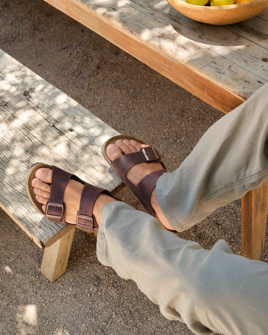 The Classics Lover Gift Guide