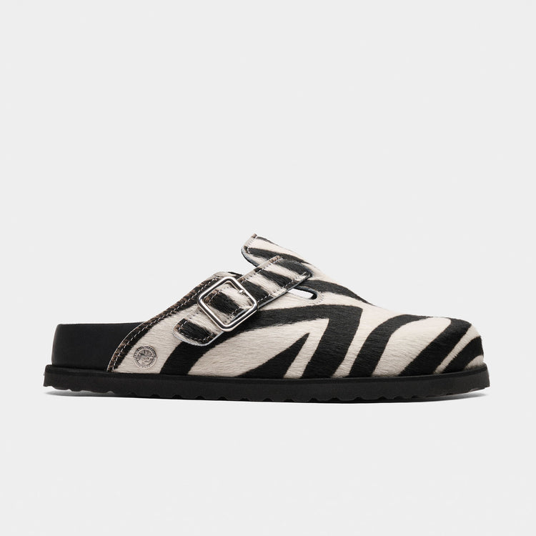 Boston 1774 Exquisite Zebra Pony Like Fur