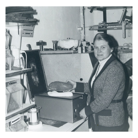 Birkenstock Australia Timeline 1966 tile